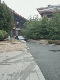 Episode 17 - The Wedding Trap\Reborn to Stop Them