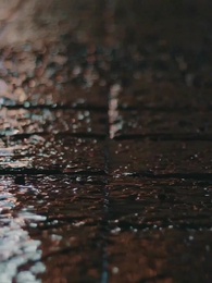 Episodio 31 - [Doblado]¡Salta, Mónica!  La Verdadera Reina