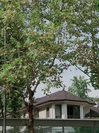 ตอนที่ 66 - ศรัทธาของหมอ