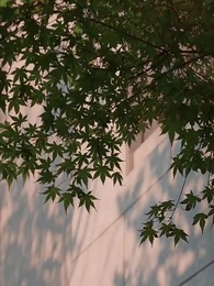 ตอนที่ 51 - ศรัทธาของหมอ