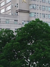 Episode 58 - Das verborgene Imperium der Hausfrau