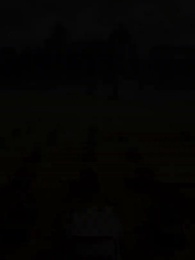 Episodio 23 - [Doppiato]Assumo Solo Mostri/di Livello S