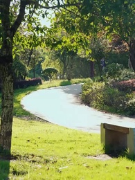 Episodio 55 - Cuando la Traición la Liberó