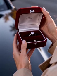 The Substitute Mother - Episode 25