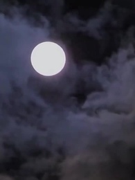 Серия 46 - [Дубляж]Предвестие Судьбы