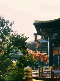 Cariye’nin İntikamı - Episode 28