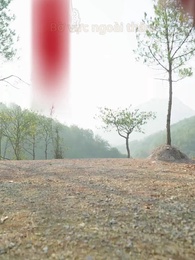 Tập 54 - Cung Sâu Khói Lạnh