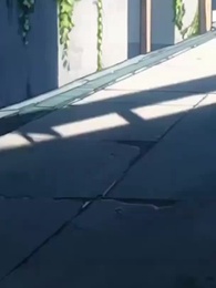 Maldito Gatito: El Trono de Sangre - Episode 6