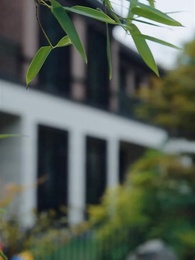 Episode 6 - Masked Rose