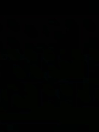 Episódio 62 - Domador: A Regressão, Feras Evoluídas