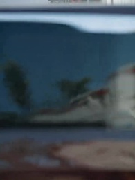 Winds of the Past - Episode 18