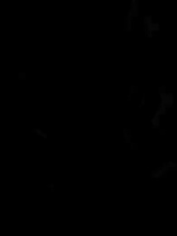 Episódio 26 - Domador: A Regressão, Feras Evoluídas