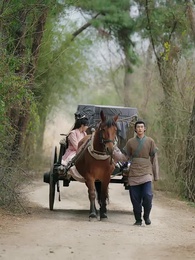 第23集 - 聞香識美人