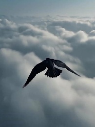 Episodio 1 - [Doppiato]Aspetta! Mio padre contadino è l'Oracolo Supremo