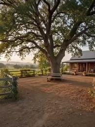 [Synchron] Freiheit für Greta - Episode 10