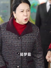 攀錯高枝後，丈夫悔不當初 - Episode 54