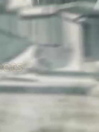 Episode 20 - Beastmaster: I Command the Primeval Terrror