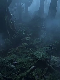 Episode 7 - [3D] Once A Snake, Now A Dragon