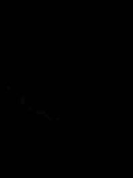 سلالة التنين البدائي - Episode 22