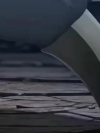 الحلقة 33 - سلالة التنين البدائي