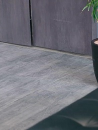 Episodio 27 - [Doblado] Así Pagan los Traidores