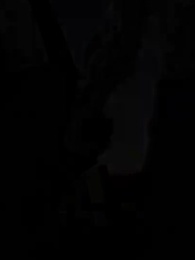 Episode 17 - Apocalypse Daddy