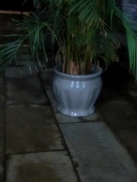 To Crave a Star That's Not Yours - Episode 68