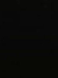 Episodio 22 - Soy Domador del Dragón Ancestral