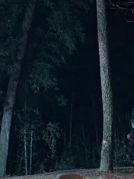 الحلقة 48 - سكرى بهيك