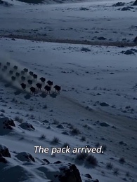 The Alpha King’s Confession - Episode 10