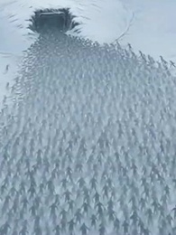 My Apocalypse Zombie Staff - Episode 69