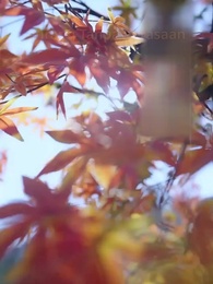 Episode 2 - [Dubbing]Jadi Dewa Karna Patah Hati