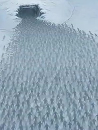 我在末日當房東,租客全是S級變異體 - Episode 69