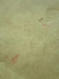 [Дубляж]Никогда не связывайся с мамой - Episode 19