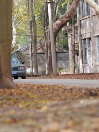 第48集 - 望子成龍終如願