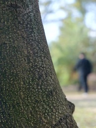 第23集 - 望子成龍終如願