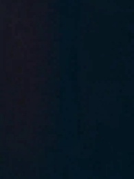 天からの贈り物、福宝の導き - Episode 24