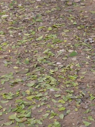 望子成龍終如願 - Episode 20