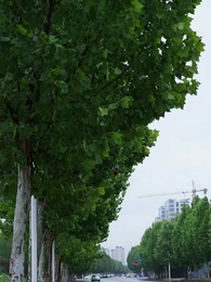 Episodio 70 - L'Amore Non Si Cerca