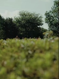 Bölüm 43 - [Dublajlı]Aşk Bizi Yeniden Buldu