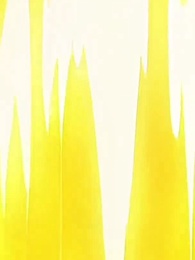 Серия 4 - Путь эволюции