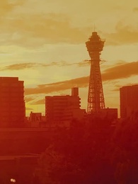 私 、サレ妻ですらなかったんや。 - Episode 24