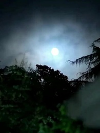 De la colère à l’amour en sept ans - Episode 20