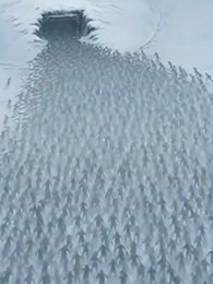 Episode 69 - [Dubbed] Landlore of the Apocalypse