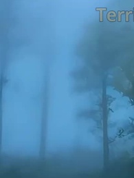 Un beso me hizo rico - Episode 33