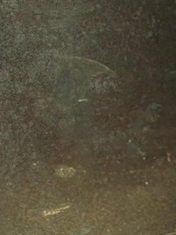 [Doblado]Cuentas Pendientes - Episode 30