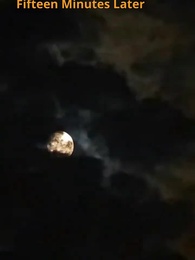 Episode 28 - [Dubbed]Reborn to Save Brother: Divorce & Consequences