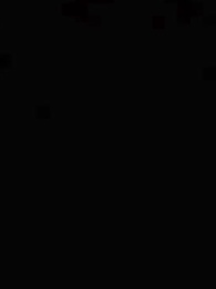 Episodio 36 - [Doblado]Camino de Maestría