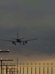 Episodio 41 - L'Amore Non Si Cerca