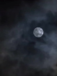 1화 - 소설 속 메인 빌런 구하기